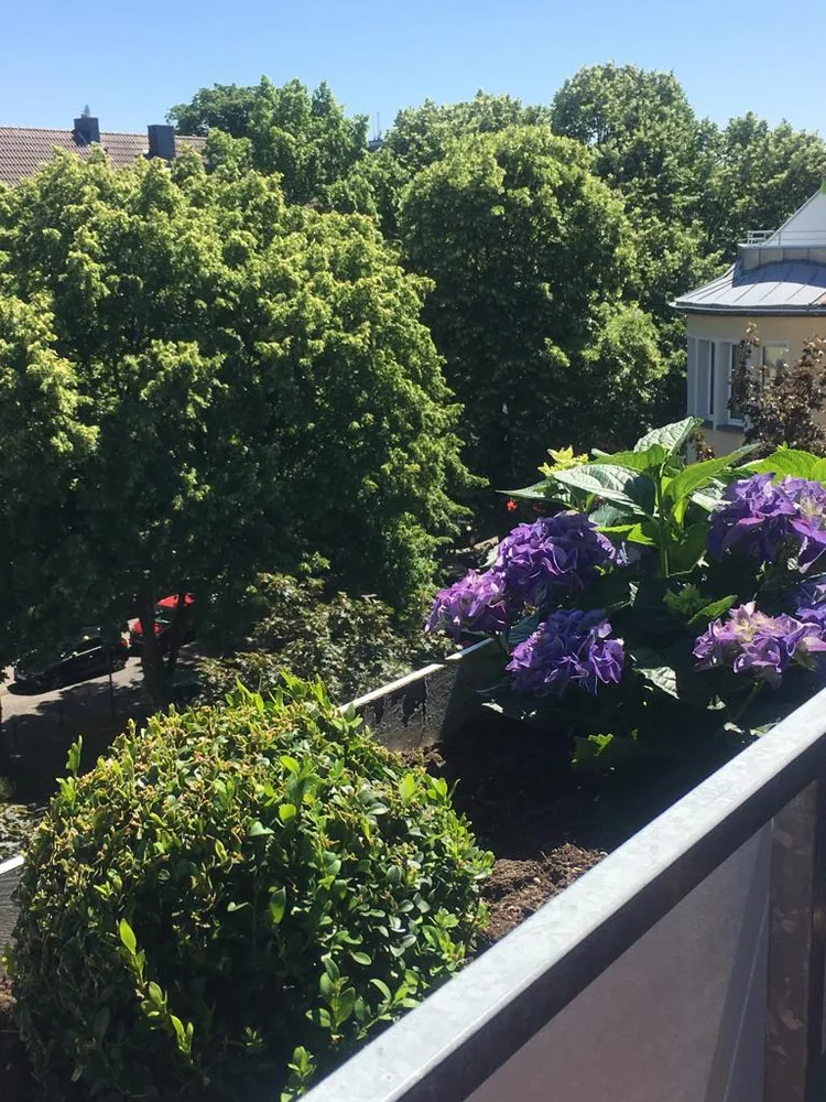 2 Zimmer Wohnung mit 60 m² in Köln – Bild 1