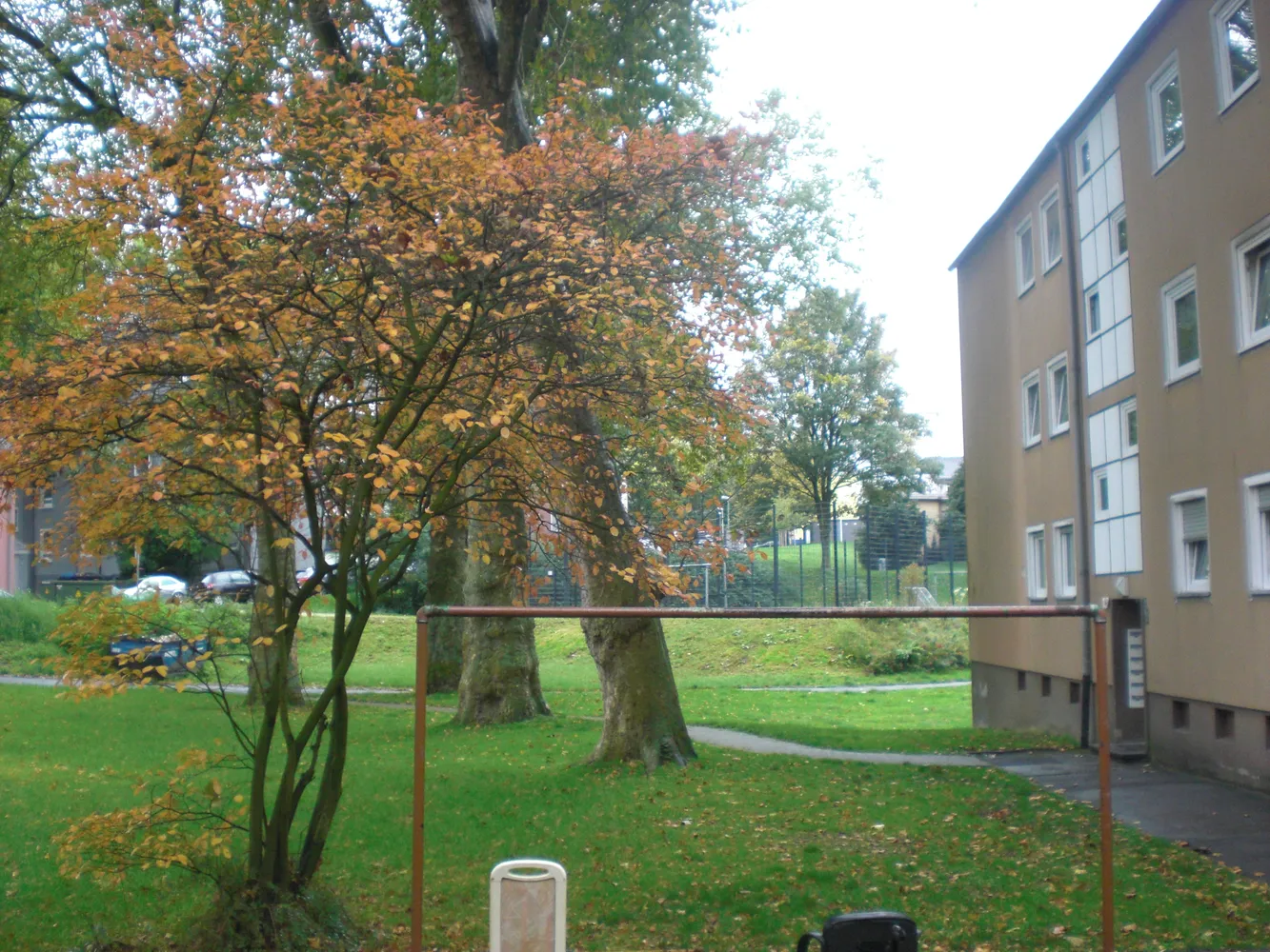 3 Zimmer Wohnung mit 70 m² in Essen – Bild 2