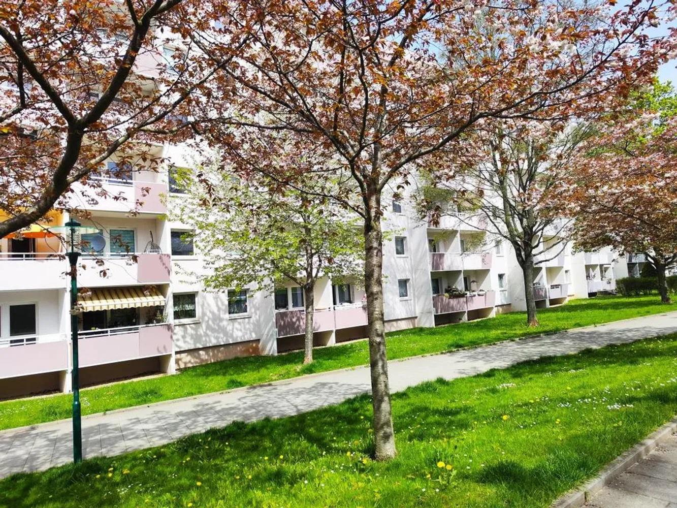 3 room apartment with 56 m² in Chemnitz – Photo 1