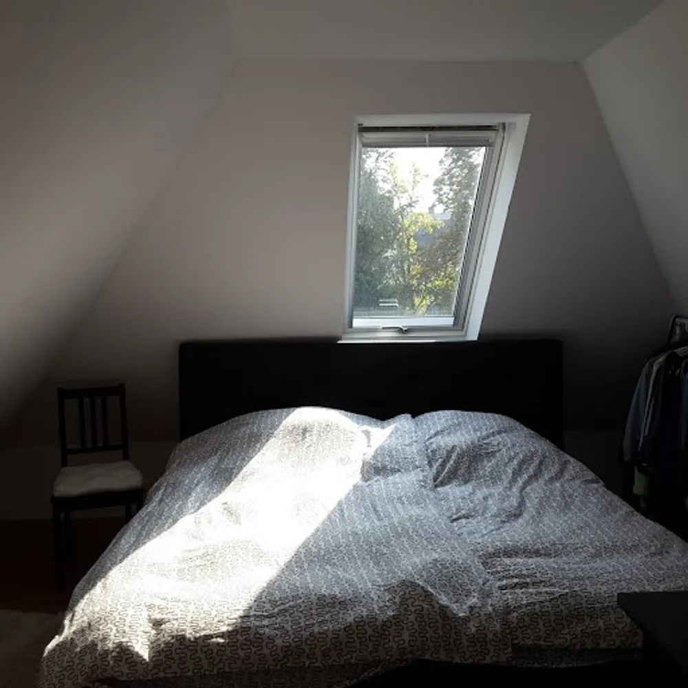 3 Zimmer Wohnung mit 48 m² in Bad Kreuznach – Bild 6