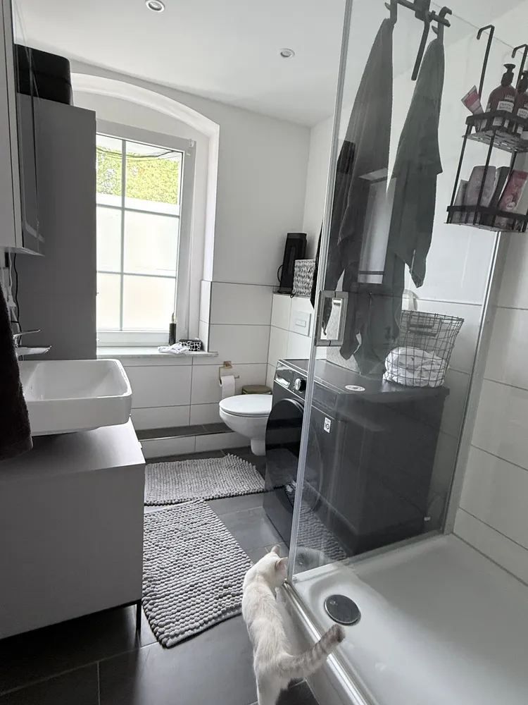 3 Zimmer Wohnung mit 80 m² in Cottbus – Bild 2