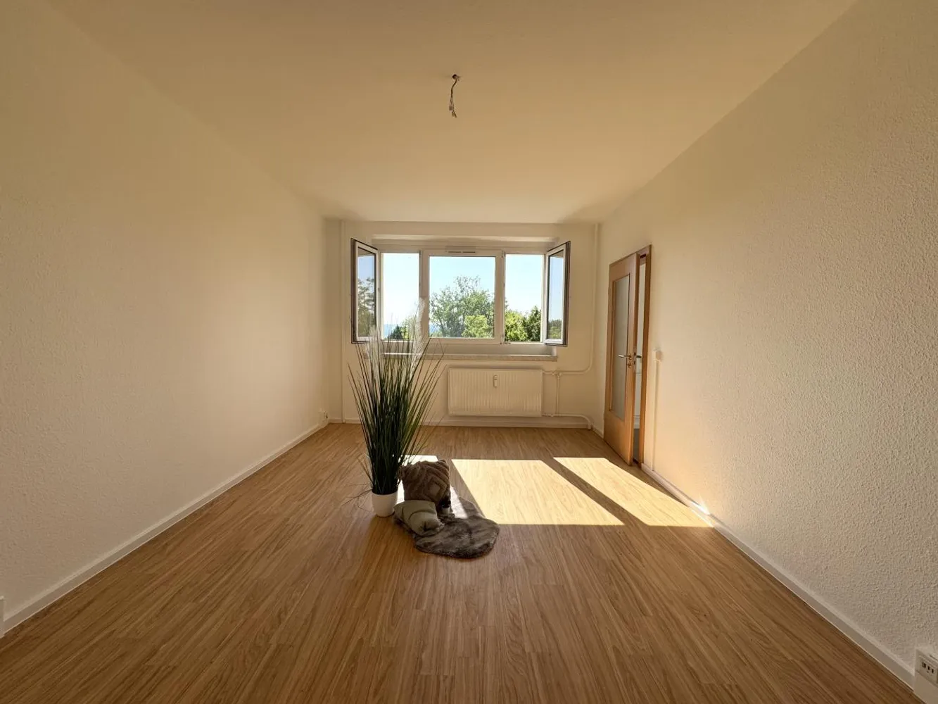 2 room apartment with 46 m² in Chemnitz – Photo 8