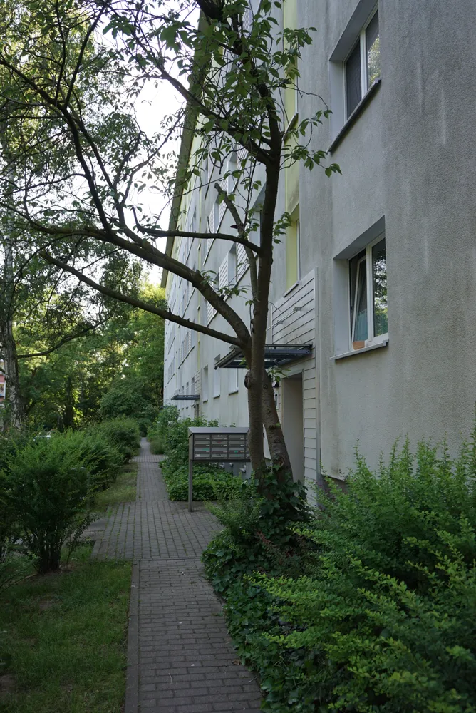 3 Zimmer Wohnung mit 66 m² in Potsdam – Bild 3