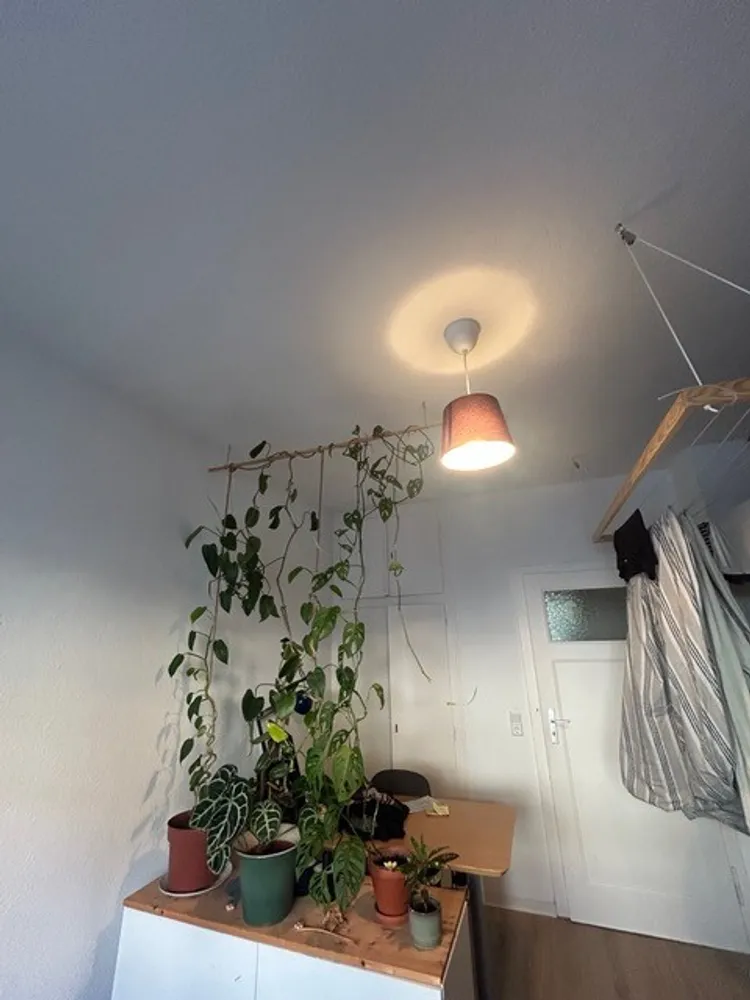 2 Zimmer Wohnung mit 52 m² in Mannheim – Bild 2
