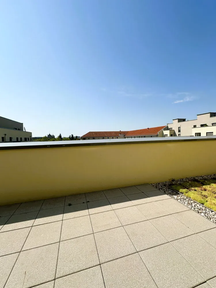 2 room apartment with 74 m² in Dresden – Photo 6