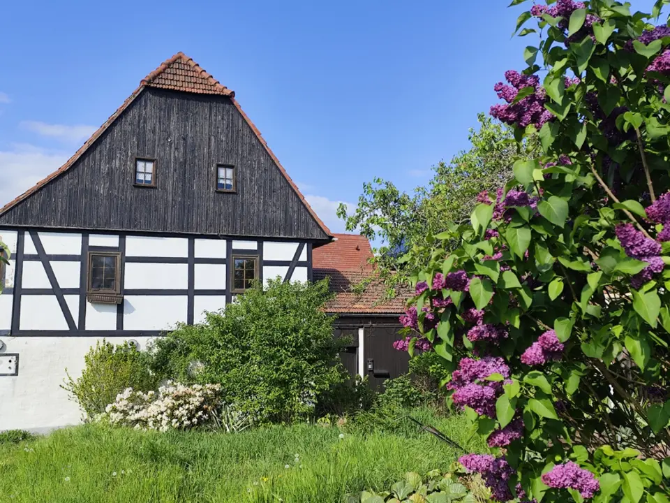 2 Zimmer Wohnung mit 66 m² in Dresden – Bild 5