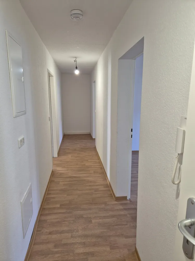 3 Zimmer Wohnung mit 66 m² in Mannheim – Bild 3