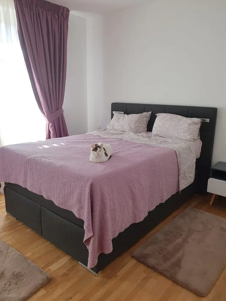 2 Zimmer Wohnung mit 50 m² in Borna – Bild 1