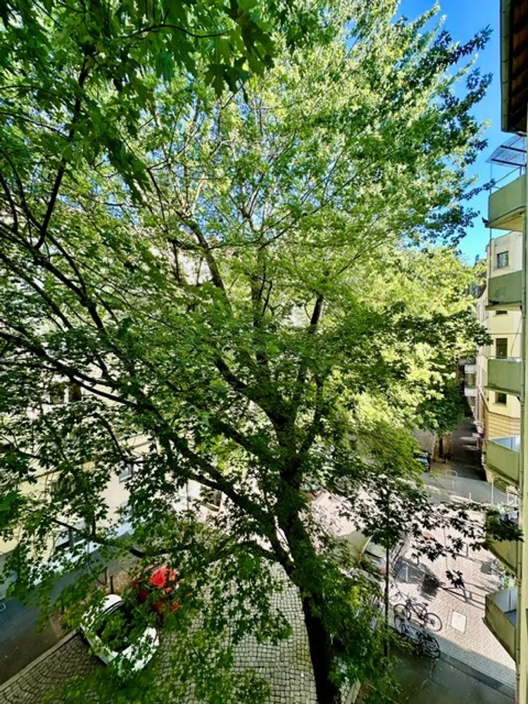 3 Zimmer Wohnung mit 70 m² in Wiesbaden – Bild 4