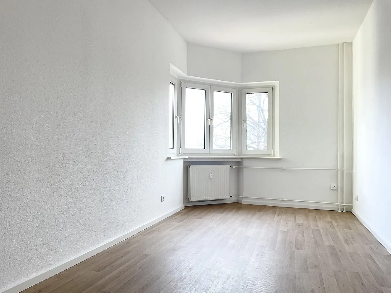 2 room apartment with 61 m² in Dresden – Photo 2