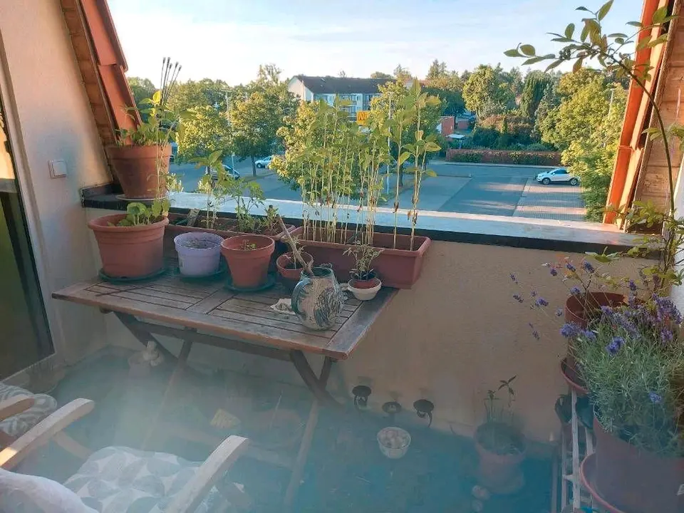 2 Zimmer Wohnung mit 70 m² in Bernau bei Berlin – Bild 4