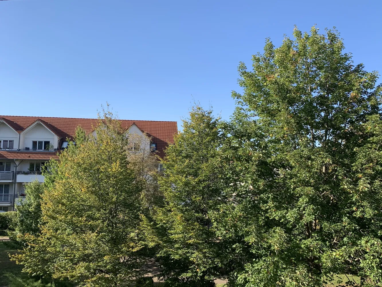 2 Zimmer Wohnung mit 33 m² in Kassel – Bild 7