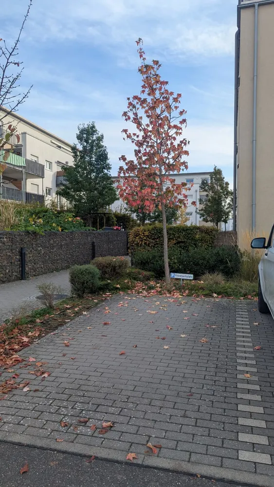 3 Zimmer Wohnung mit 84 m² in Wiesbaden – Bild 8