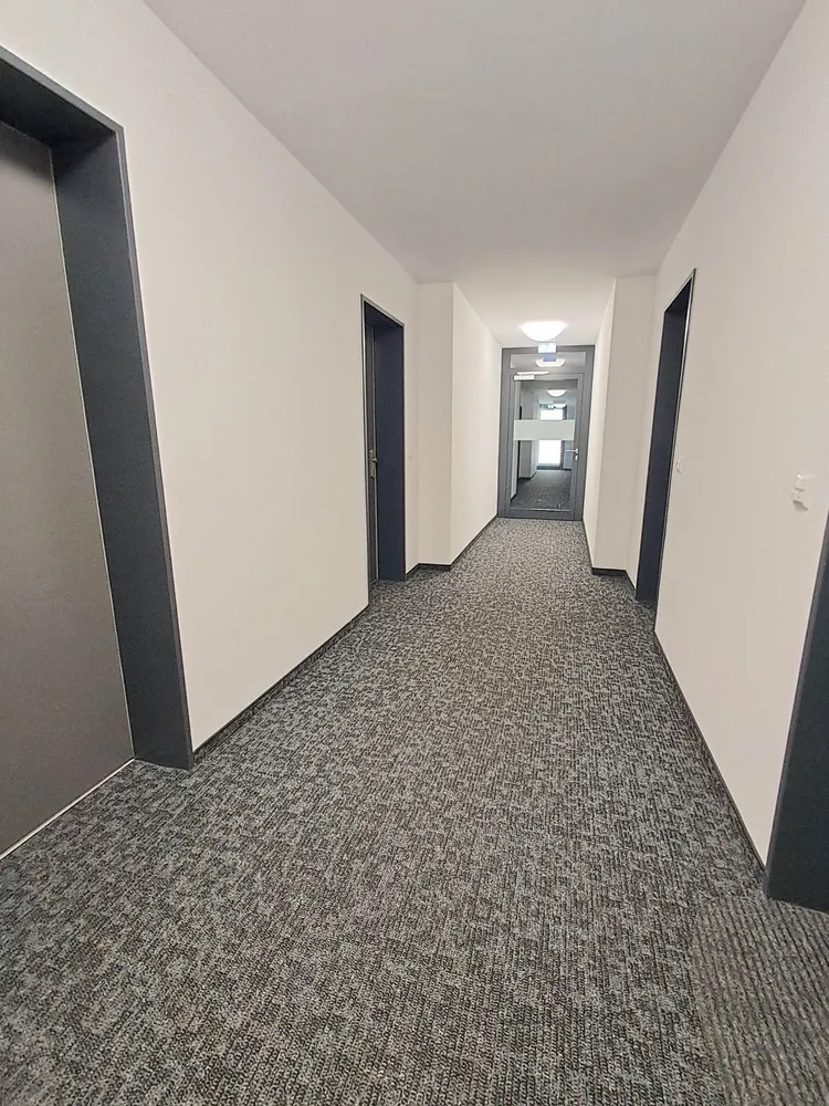 2 Zimmer Wohnung mit 34 m² in Braunschweig – Bild 3