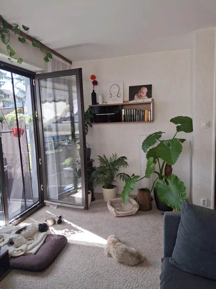 3 Zimmer Wohnung mit 74 m² in Mannheim – Bild 3