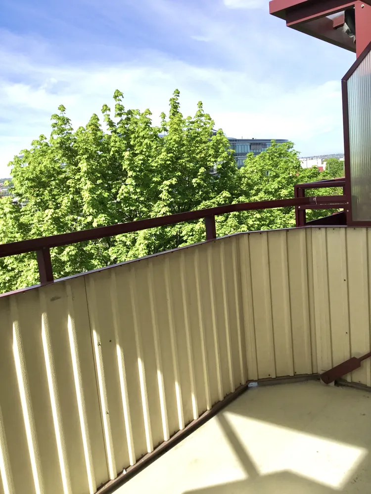 2 Zimmer Wohnung mit 46 m² in Dresden – Bild 7