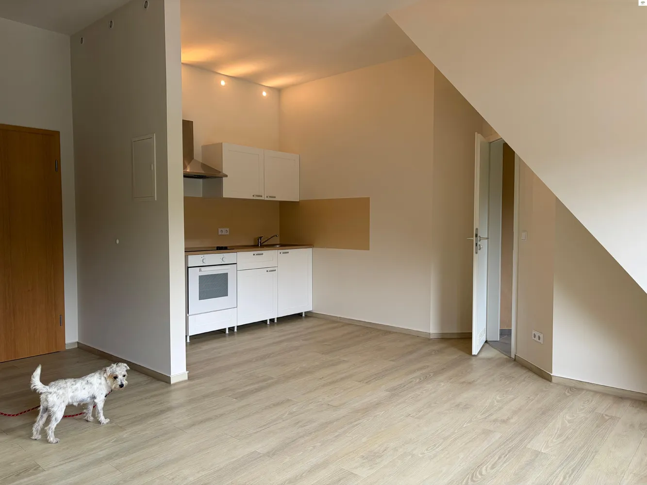 1 Zimmer Wohnung mit 37 m² in Dresden – Bild 6