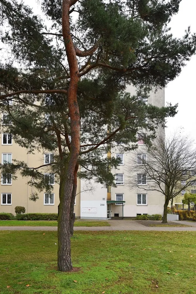3 Zimmer Wohnung mit 70 m² in Nürnberg – Bild 2