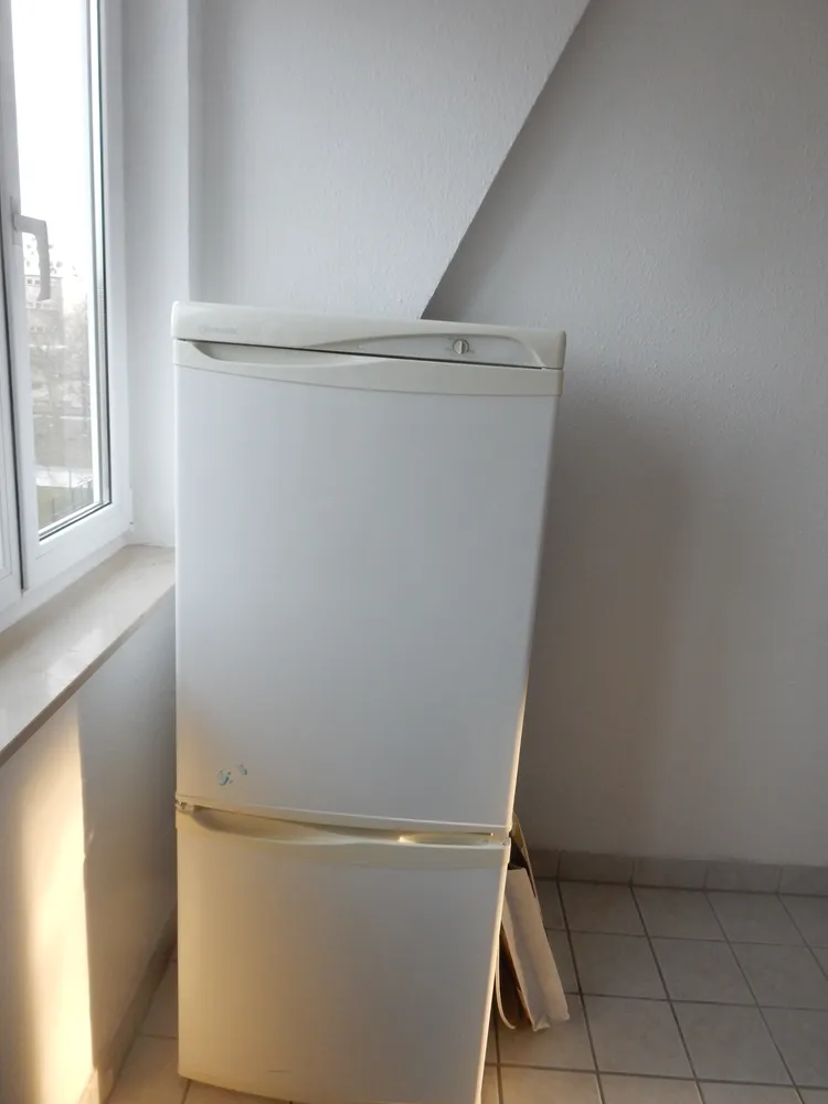 2 room apartment with 50 m² in Magdeburg – Photo 5