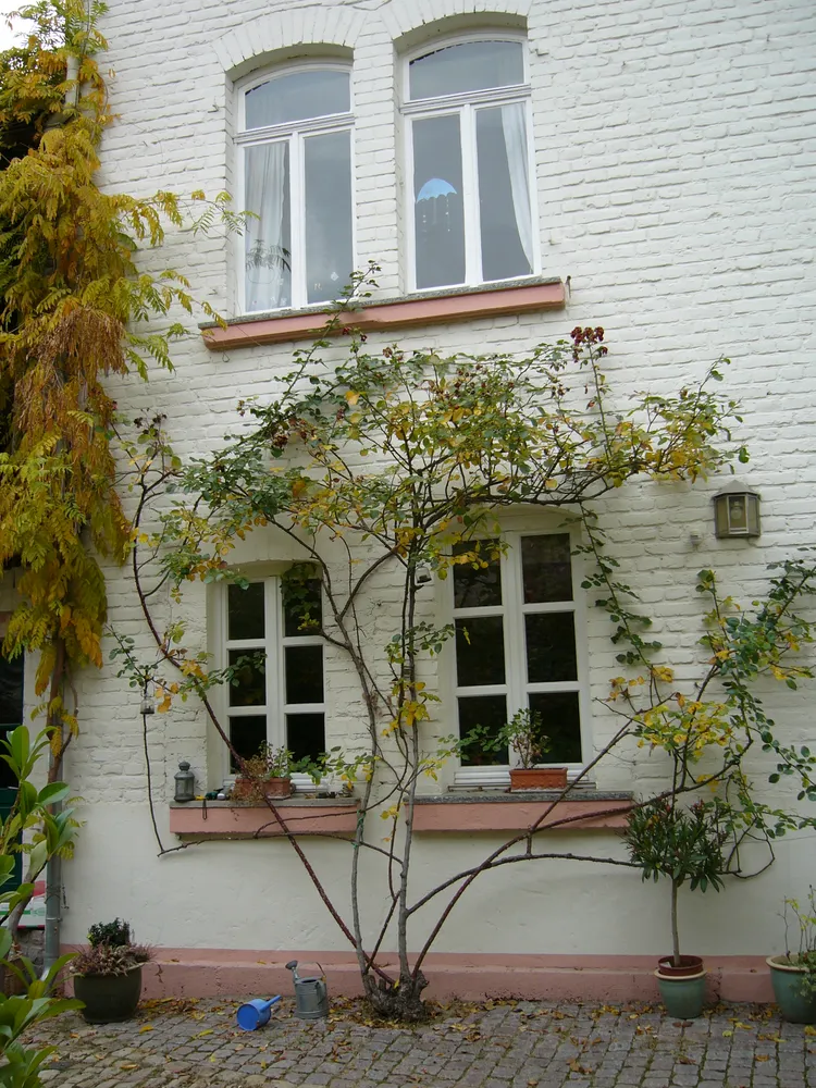 10 room house with 200 m² in Wiesbaden – Photo 2
