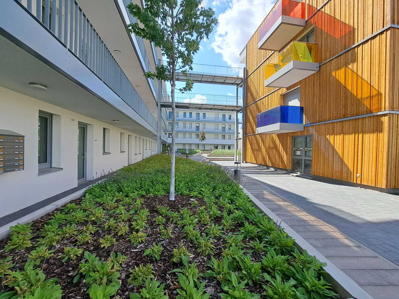 3 Zimmer Wohnung mit 67 m² in Mannheim – Bild 12