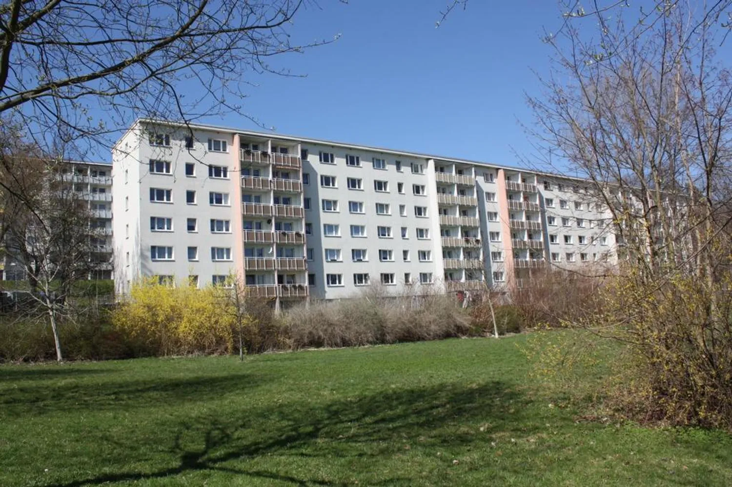 3 room apartment with 60 m² in Chemnitz – Photo 4