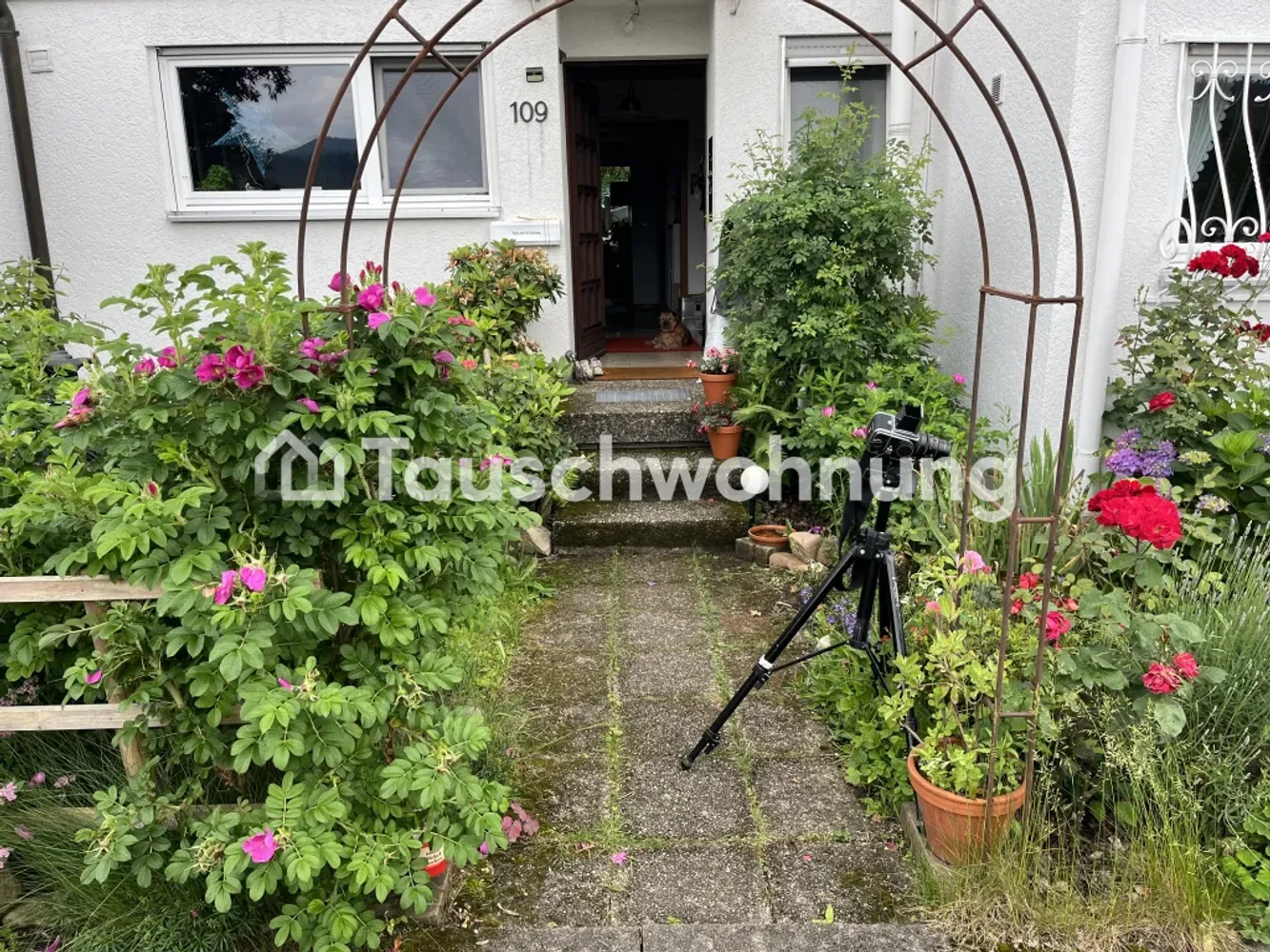 5 Zimmer Haus mit 140 m² in Freiburg im Breisgau – Bild 2