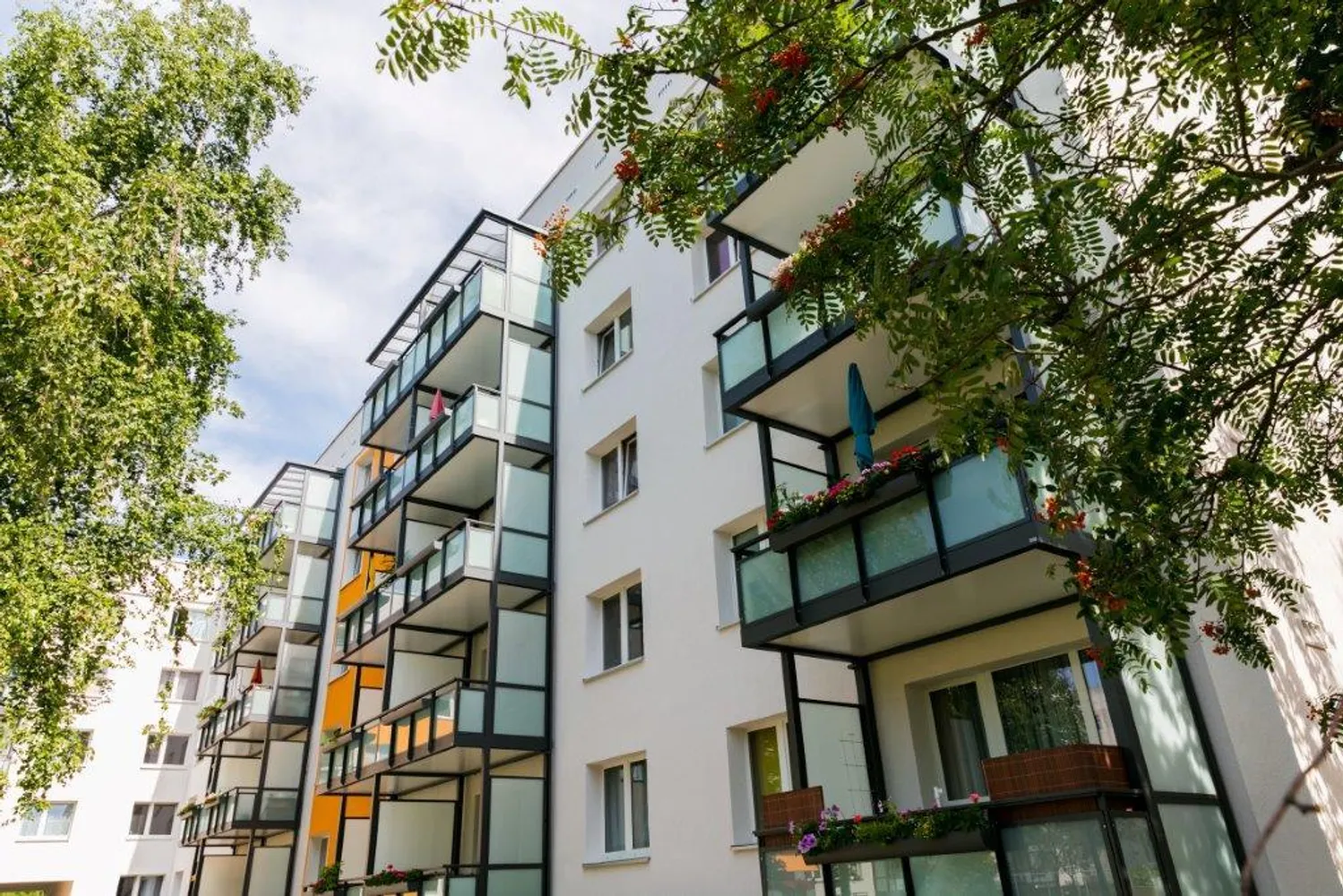 3 Zimmer Wohnung mit 59 m² in Dresden – Bild 1