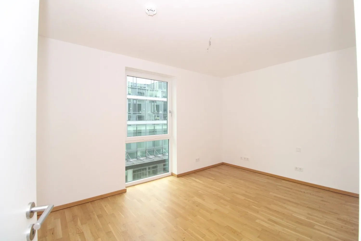 3 room apartment with 82 m² in Dresden – Photo 7