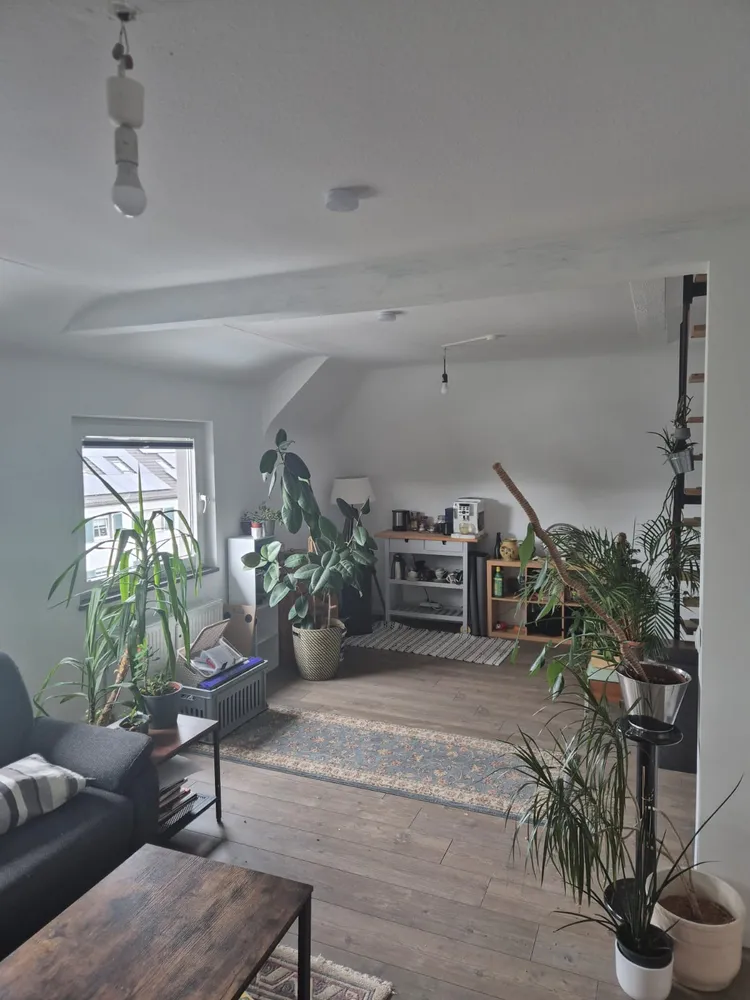 2 Zimmer Wohnung mit 65 m² in Solingen – Bild 2