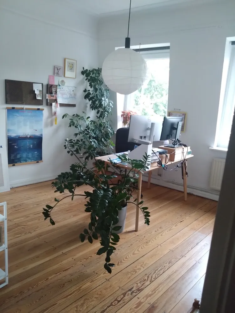 3 Zimmer Wohnung mit 77 m² in Hamburg – Bild 10