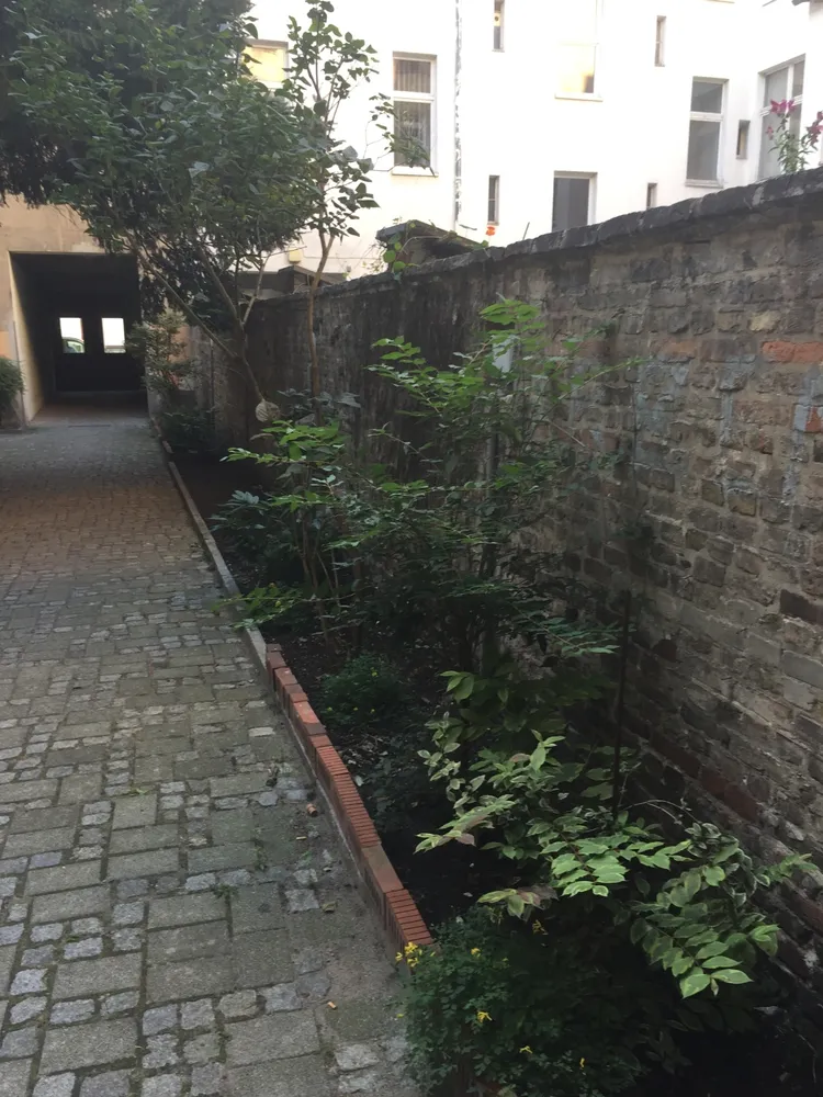 1 Zimmer Wohnung mit 36 m² in Berlin – Bild 5