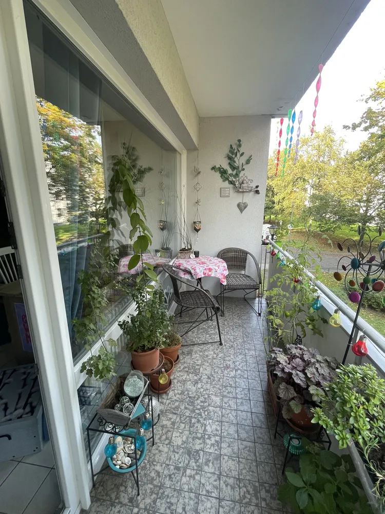 1 Zimmer Wohnung mit 32 m² in Köln – Bild 1