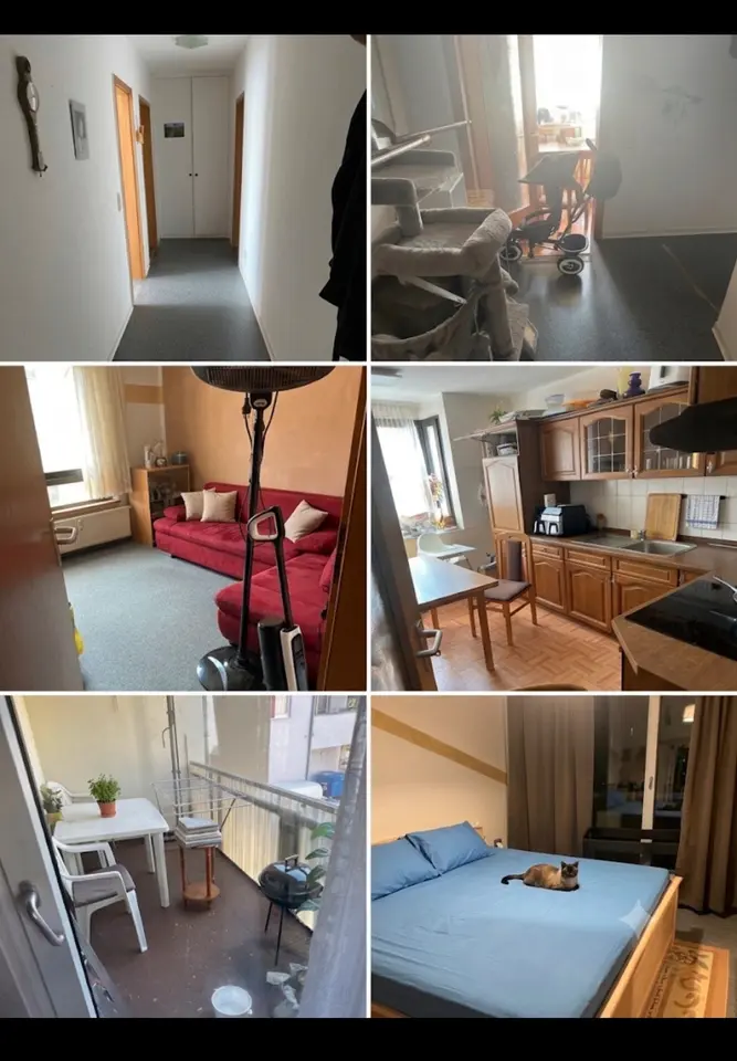 3 Zimmer Wohnung mit 75 m² in Halberstadt – Bild 5