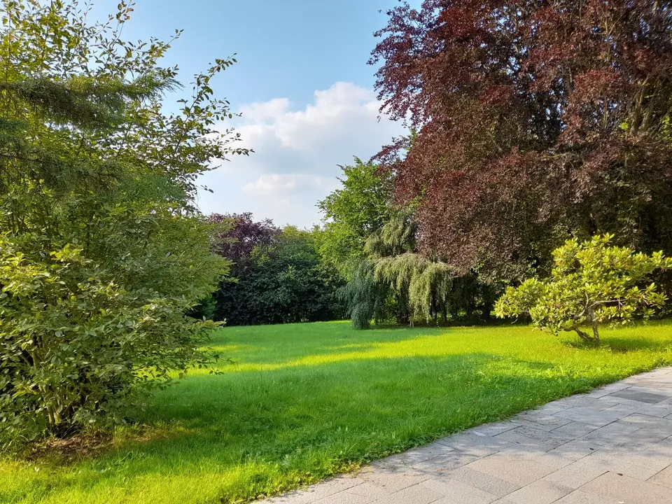 5 room apartment with 200 m² in Limburg an der Lahn – Photo 3