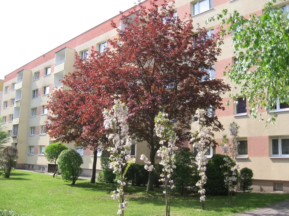 3 Zimmer Wohnung mit 59 m² in Borna – Bild 2