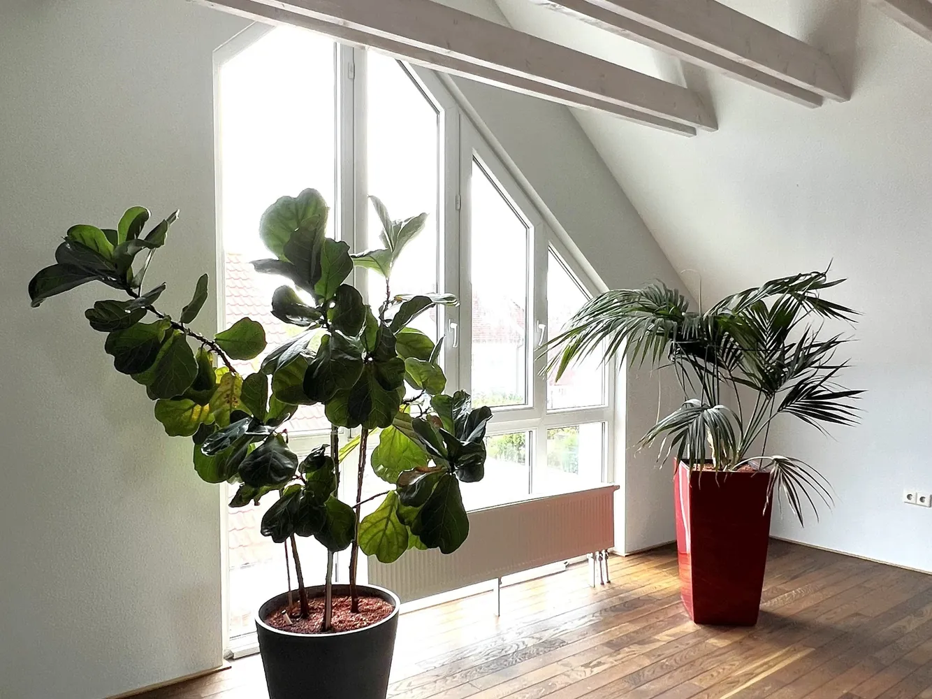 4 Zimmer Wohnung mit 175 m² in Hockenheim – Bild 7
