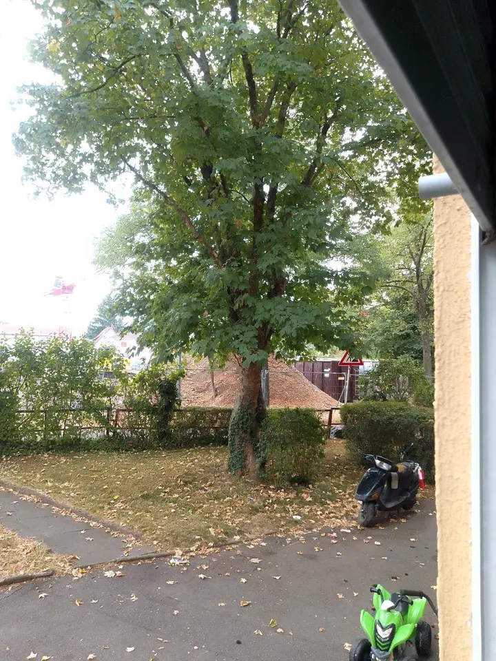 Studio mit 33 m² in Freiburg im Breisgau – Bild 2