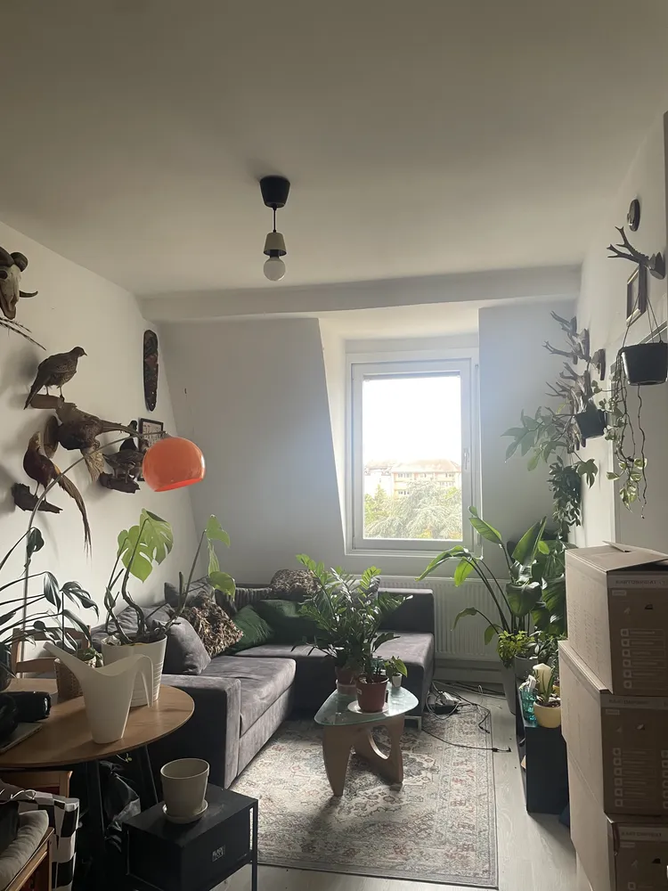 2 Zimmer Wohnung mit 43 m² in Nürnberg – Bild 1