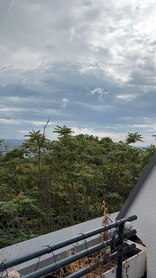 2 Zimmer Wohnung mit 150 m² in Wiesbaden – Bild 9