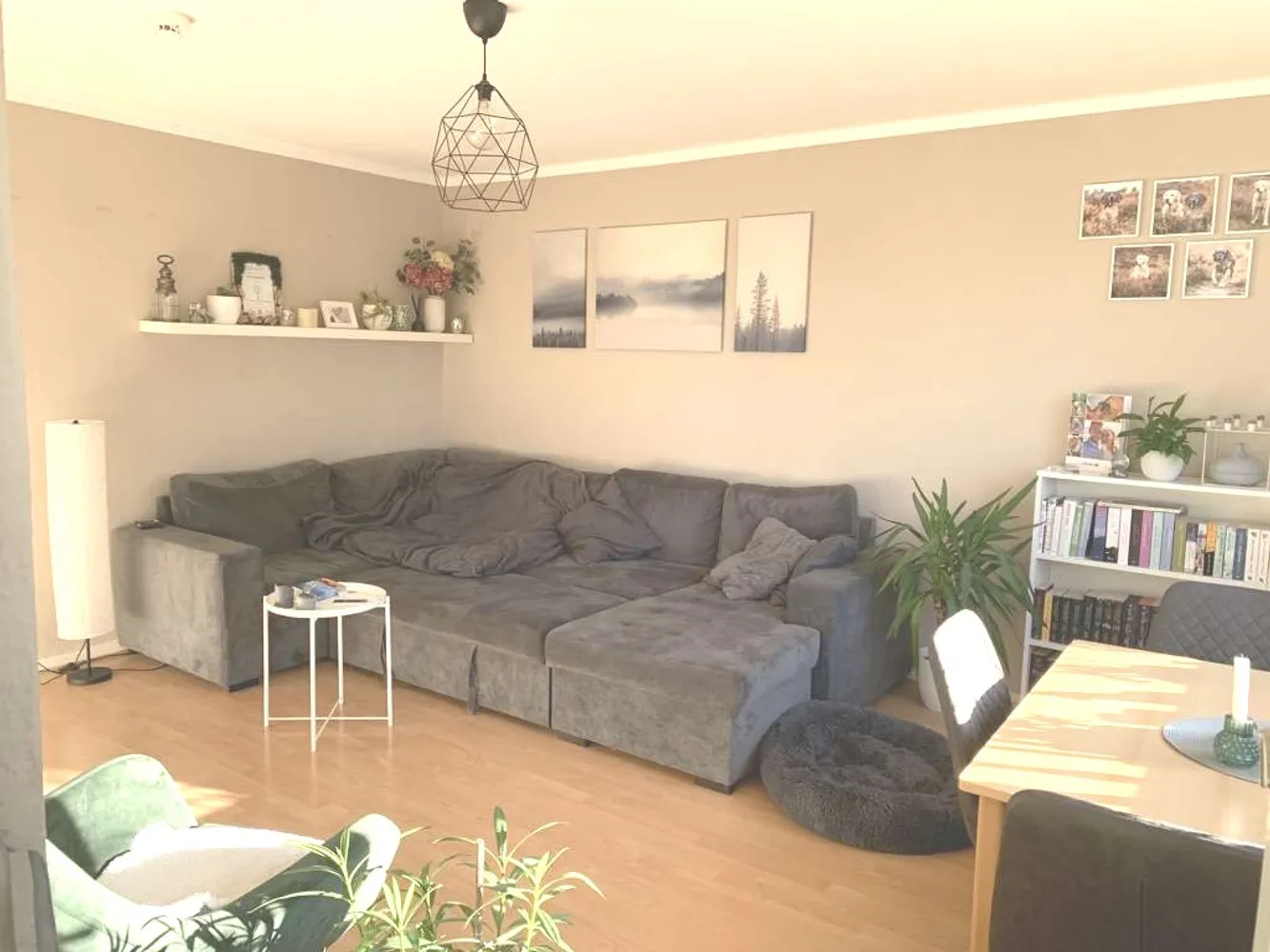 3 Zimmer Wohnung mit 61 m² in Osnabrück – Bild 1