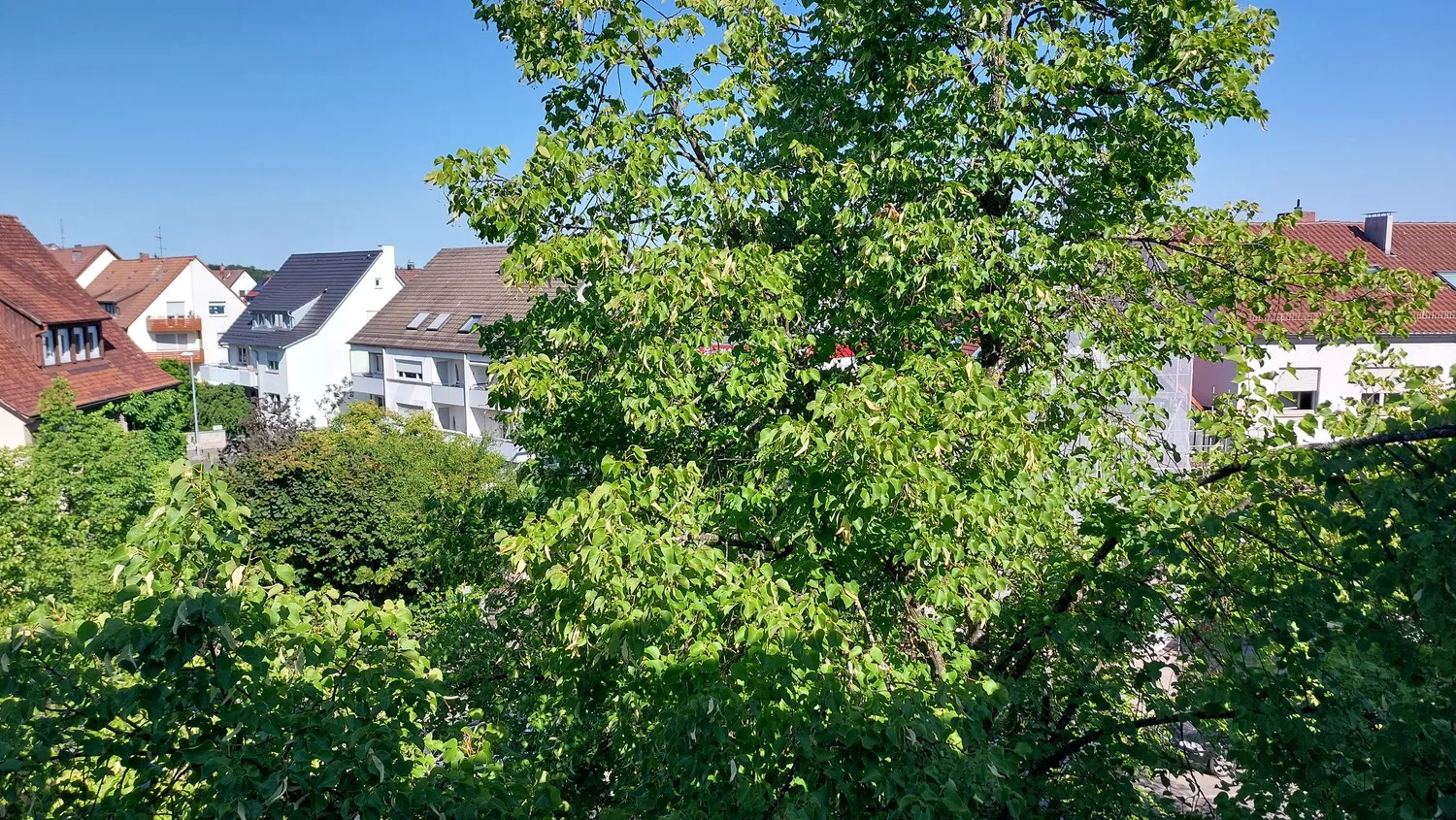 2 Zimmer Wohnung mit 39 m² in Stuttgart – Bild 7