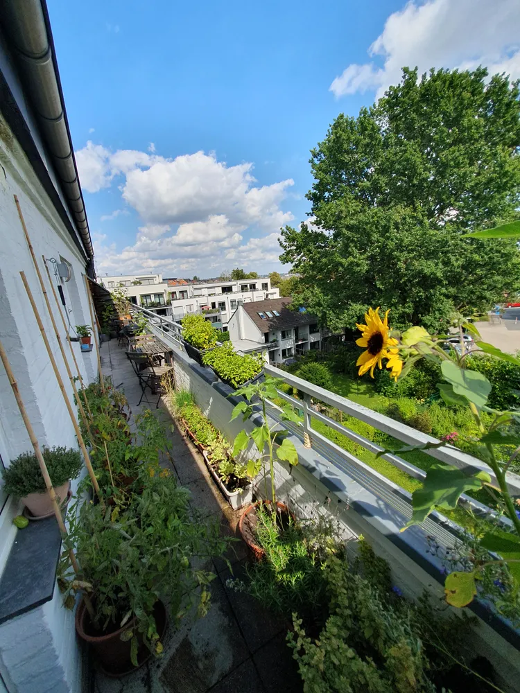 4 Zimmer Wohnung mit 96 m² in Aachen – Bild 3