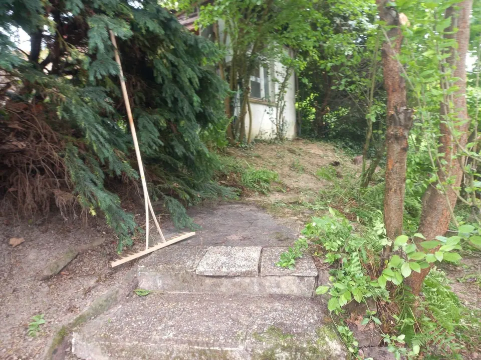 WG-Zimmer mit 120 m² in Heidelberg – Bild 5