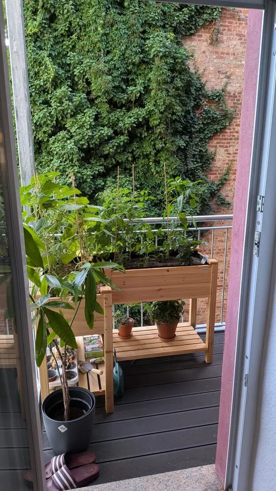 2 Zimmer Wohnung mit 62 m² in Erfurt – Bild 3