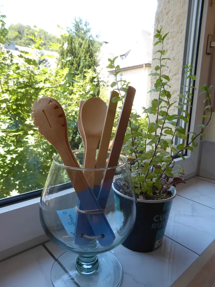 2 Zimmer Wohnung mit 56 m² in Trier – Bild 10