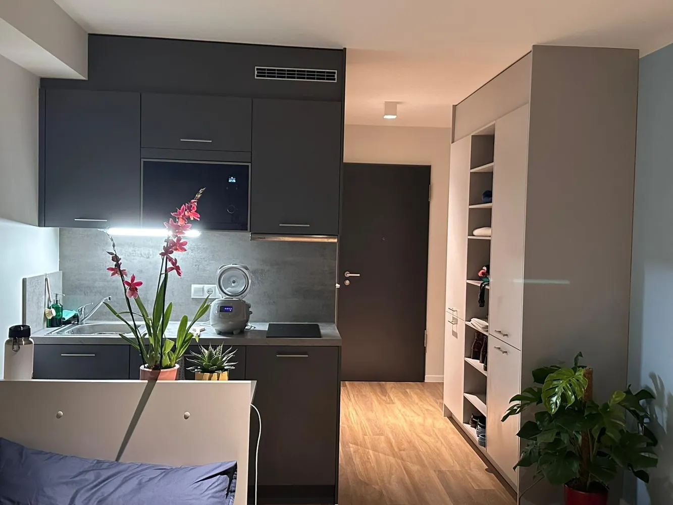 1 Zimmer Wohnung mit 25 m² in Hamburg – Bild 2