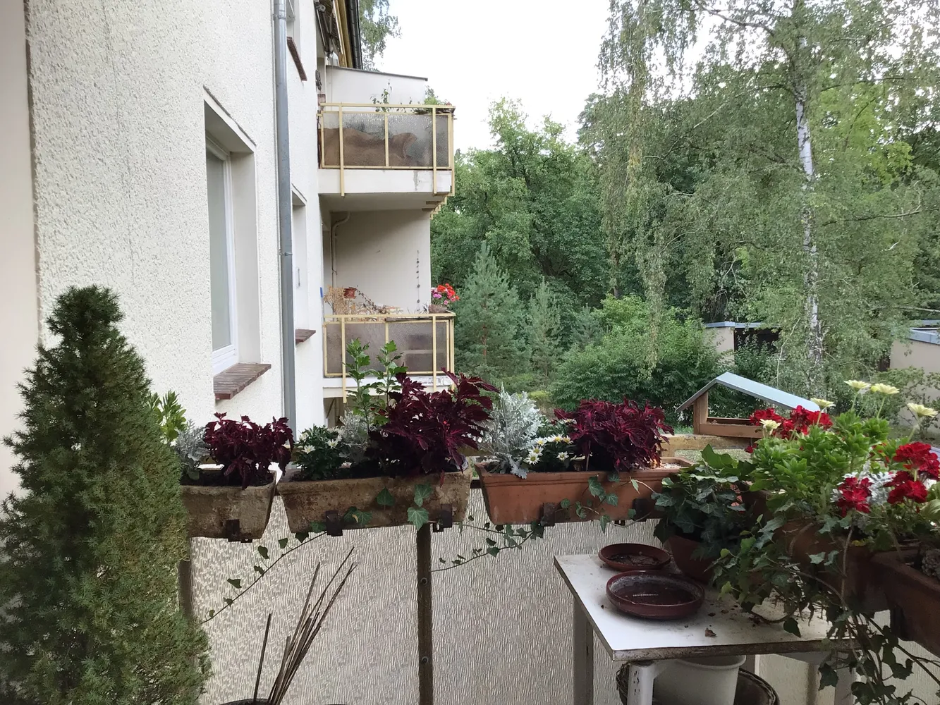 4 Zimmer Wohnung mit 80 m² in Potsdam – Bild 5