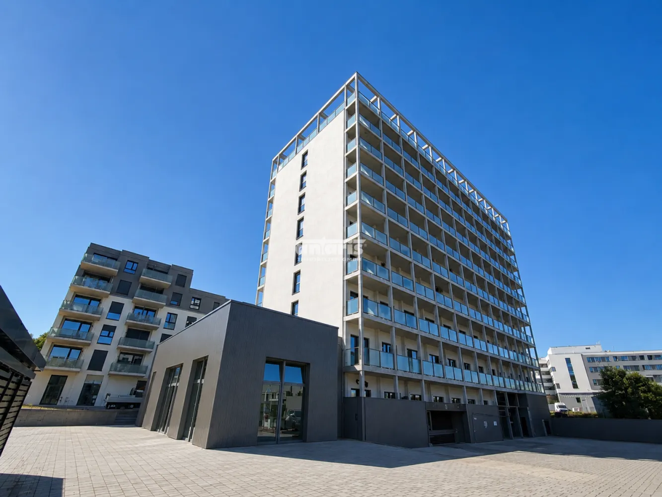 2 Zimmer Wohnung mit 77 m² in Erfurt – Bild 2
