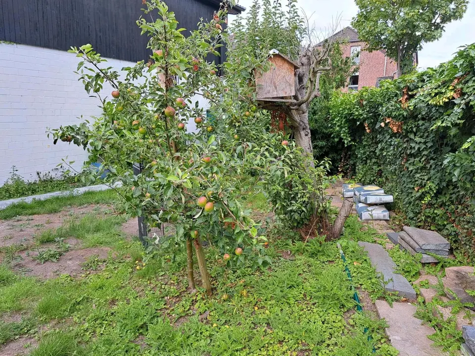 4 Zimmer Haus mit 128 m² in Aachen – Bild 5
